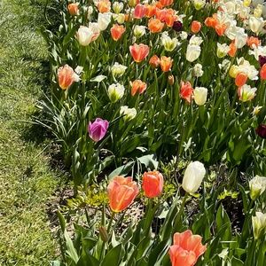 Meet your Posher, Erika